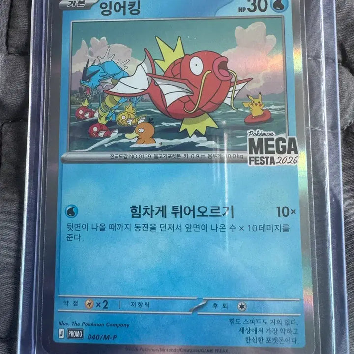 [BUNJANG] Eunggoking Promo / 잉어킹 프로모