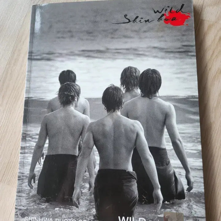 [BUNJANG] Shinhwa Photobook WILD &amp; Raincoat / 신화 포토북 WILD및 우비