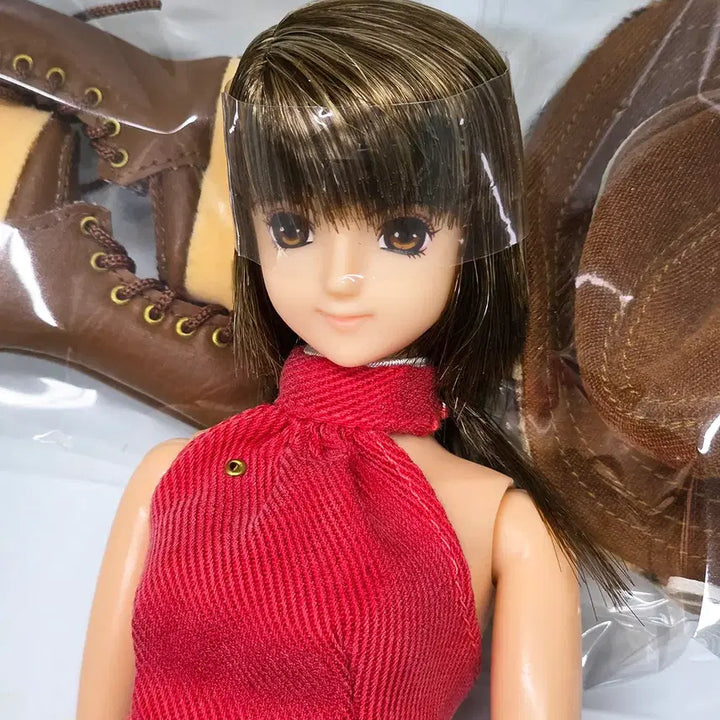 [BUNJANG] AZONE Original Doll Aoki Chihaya Edition Minako Articulated Doll / AZONE 아존 오리지널돌 아오키 치하야 에디션 미나코 관절인형 육일돌