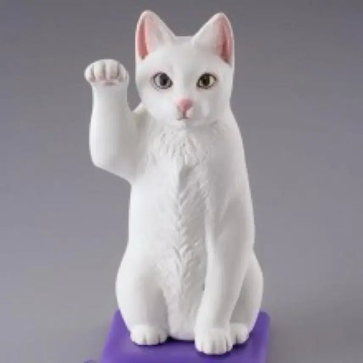 [BUNJANG] Kaiyodo Capsule Q Museum Manekineko Cat Lucky Draw Set (7 Types) / [새상품][레어템 7종 세트] 카이요도 캡슐 Q 뮤지엄 마네키네코 고양이