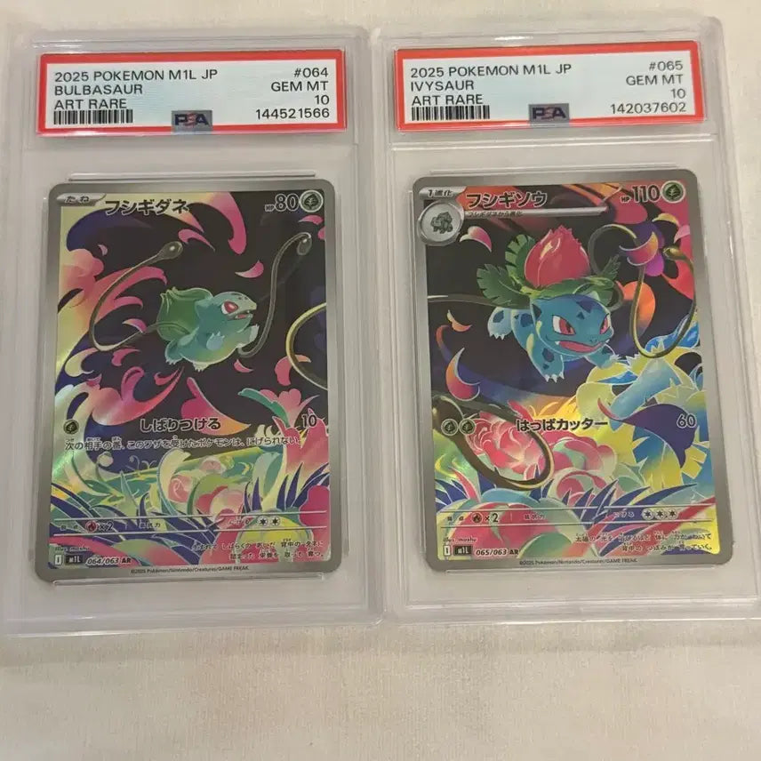[BUNJANG] Pokemon Card Bulbasaur Ivysaur AR PSA 10 Set / 포켓몬카드 이상해씨 이상해풀 ar psa10 (세트)