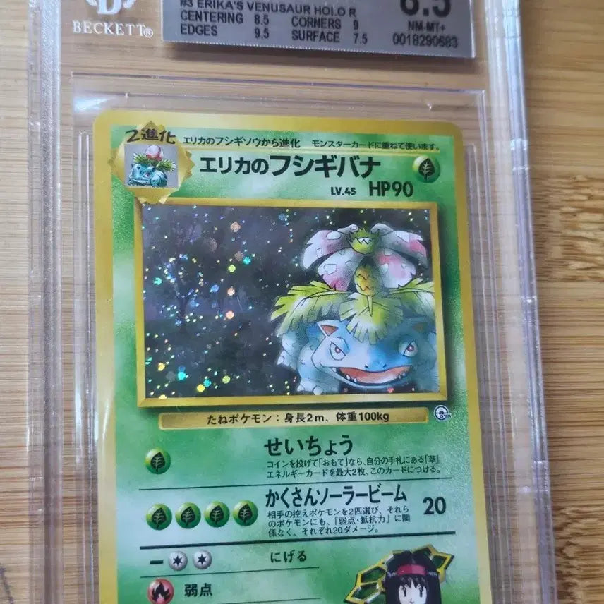 [BUNJANG] Pokemon TCG Venusaur Gym Promo 1998 1st Edition BGS 8.5 / 포켓몬카드 초판 이상해꽃 gym 프로모 1998 bgs 8.5 팝니다.