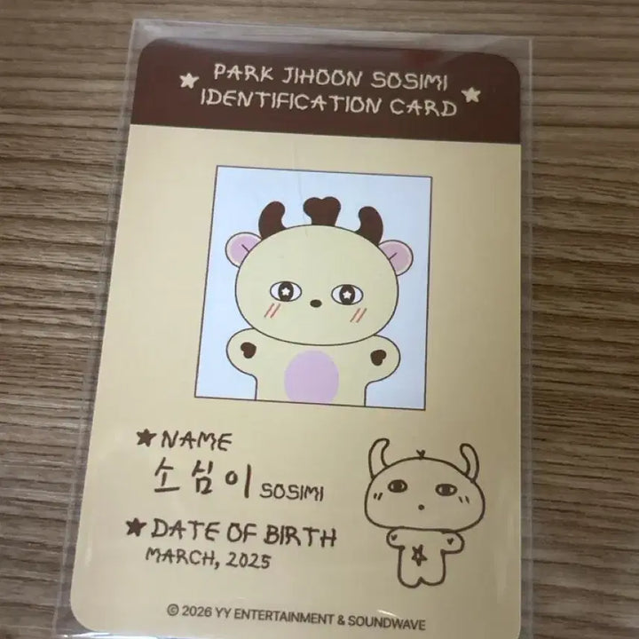 [BUNJANG] Park Ji Hoon Sosimi Photocard / 박지훈 소심이 포카