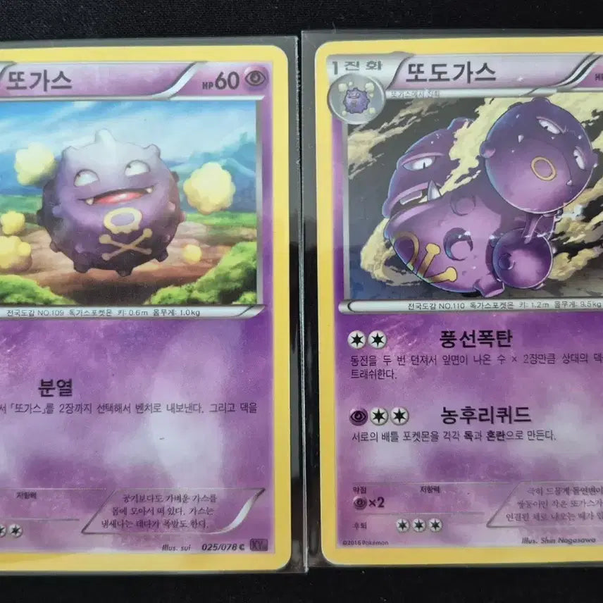 [BUNJANG] Pokemon XY Series Gastly/Haunter Evolution Set / XY시리즈 포켓몬 카드 또가스/또도가스 2종 진화 세트