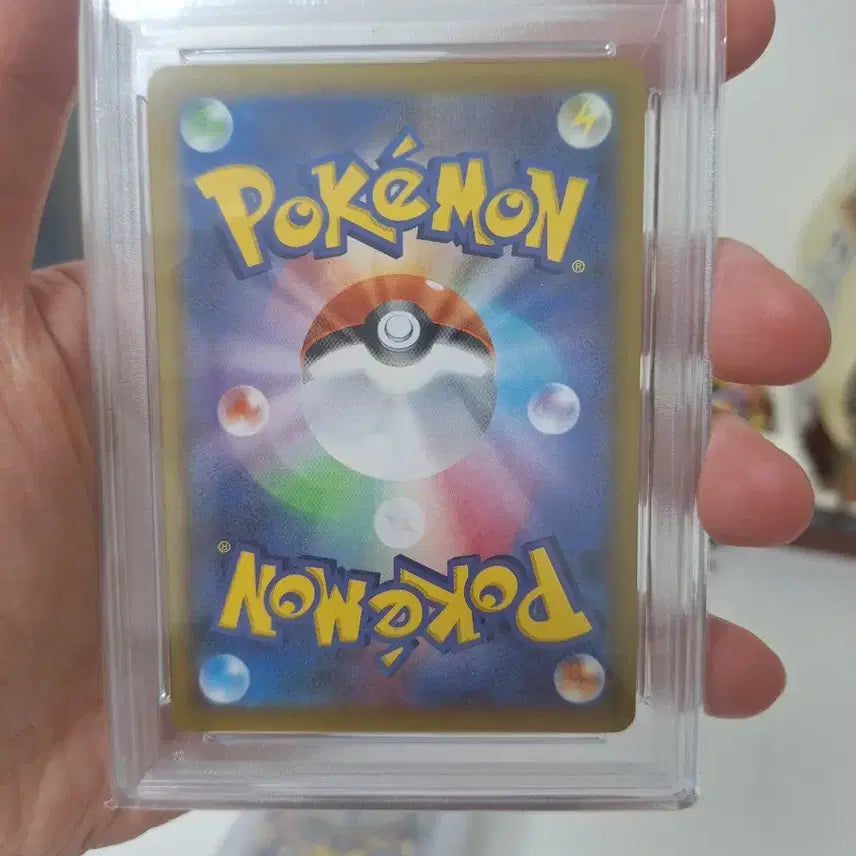 [BUNJANG] Pokemon Card Zapdos PSA 10 25th Anniversary / 포켓몬카드 썬더 PSA10 25주년