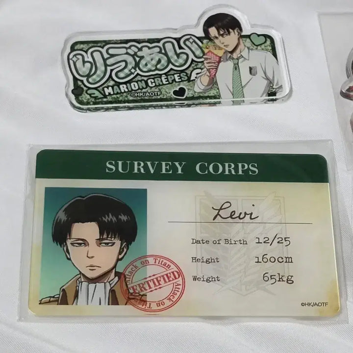 [BUNJANG] Attack on Titan Levi Acrylic Name Tag &amp; ID Card Bundle / 진격의거인 진격거 리바이 아크릴명찰 아크릴 ID카드 일괄