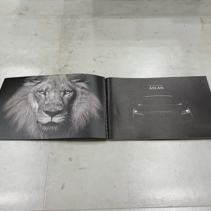 [BUNJANG] Hyundai Aslan Gold Catalog / 현대 아슬란 금색 카탈로그