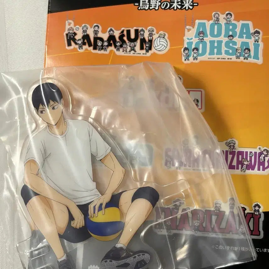 [BUNJANG] Haikyuu!! Karasuno High School&