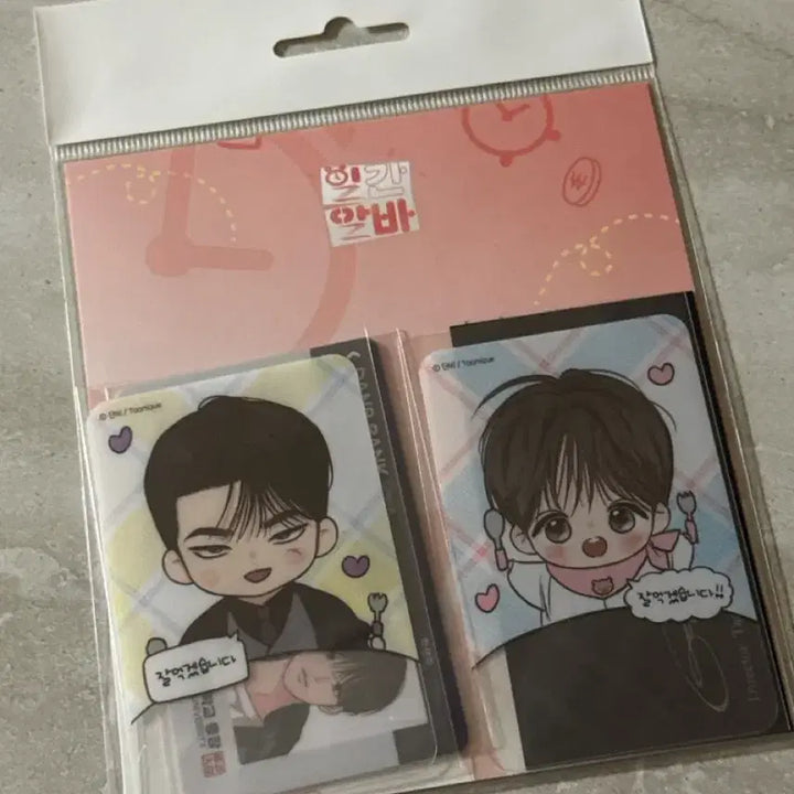 [BUNJANG] Toonique Daily Alba Photocard / 투니크 일간알바