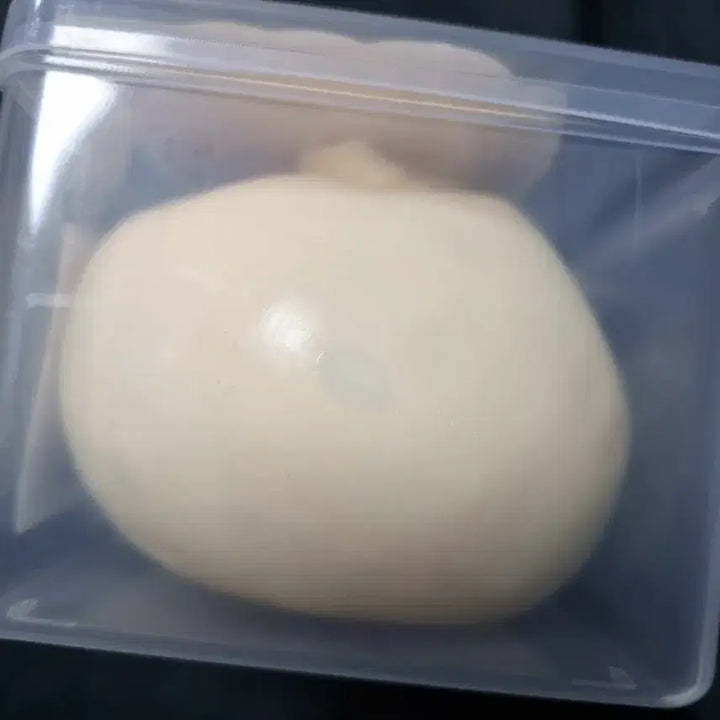 [BUNJANG] Sealed Large Cheese Dumpling Crunch Slime / 미개봉) 대왕 치즈 딤섬 크런치 슬랑이
