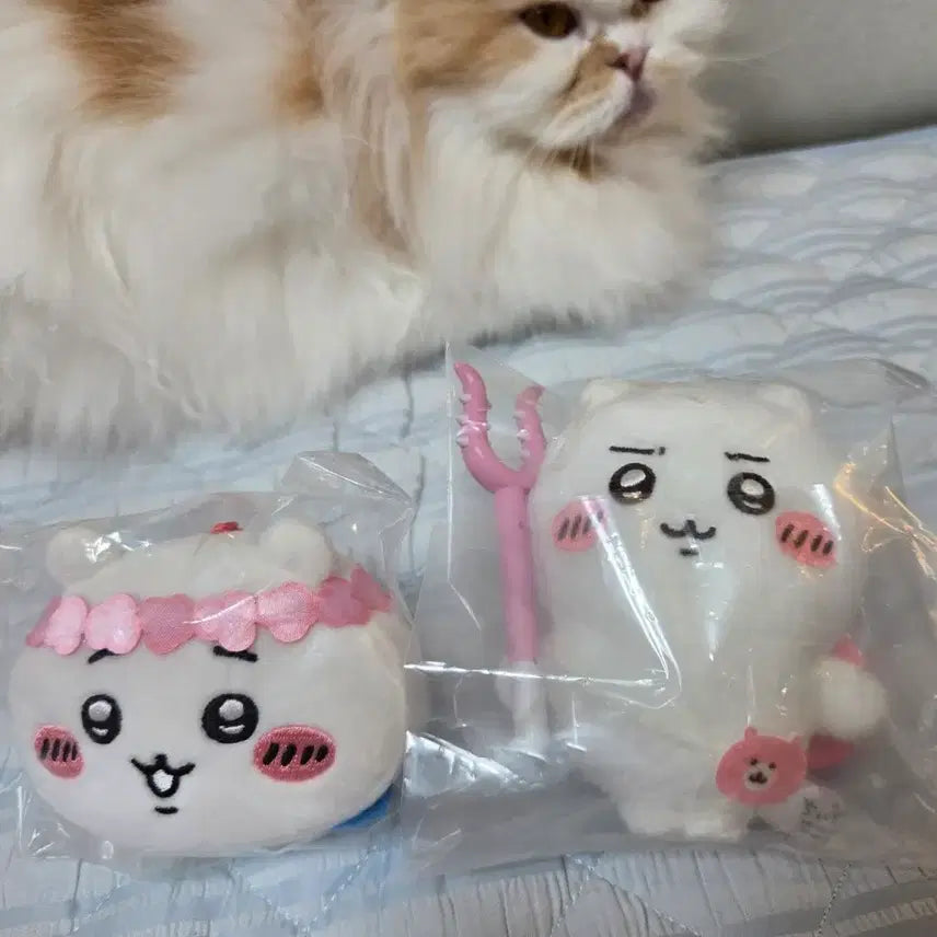[BUNJANG] Chiikawa Mermaid Island Campaign Mascot Plush / 치이카와 인어섬 토벌 마스코트, 얼굴인형 모찌페이스 일괄!!