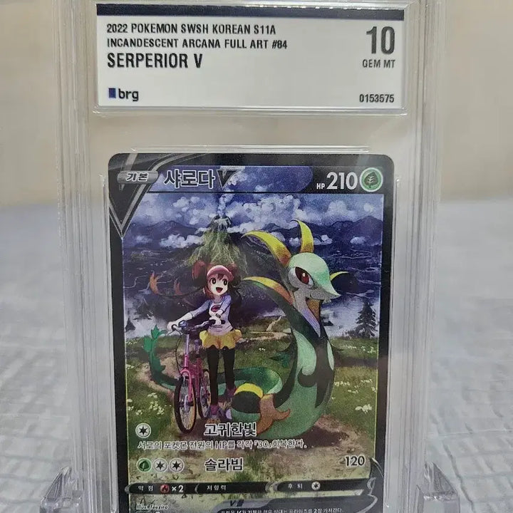 [BUNJANG] Serperior CSR BRG 10 Graded Pokémon Card / 샤로다 csr brg 10