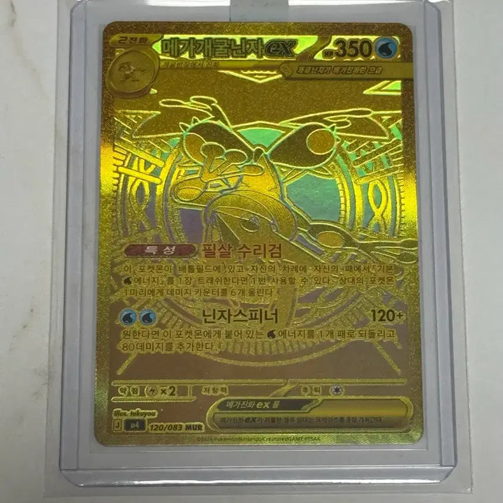 [BUNJANG] Pokemon Card - Mega Greninja (Mur) / 포켓몬카드 메가개굴닌자 mur