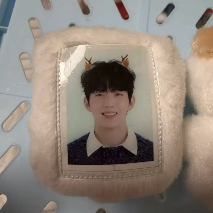 [BUNJANG] PetitMals Don Photocard Holder / 데이식스 도운 쁘띠멀즈 돈 굿즈 양도합니다