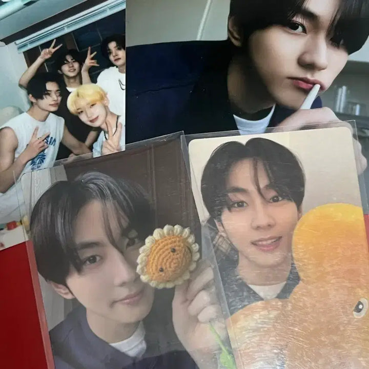 [BUNJANG] Romance Untold Jeong Won Full Set Photocard / 두번째사진) 엔하이픈 로맨스 언톨드 엔진반 정원 풀셋
