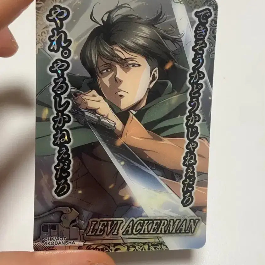 [BUNJANG] Attack on Titan Levi Ackerman Collector&