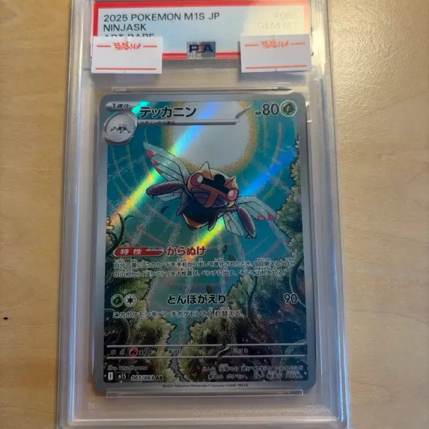 [BUNJANG] Pokemon Trading Card Game PSA 10 Graded Japanese AR Card / Psa 10 일판 아이스크