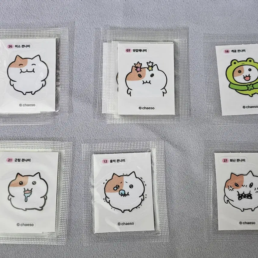 [BUNJANG] Jjonyami Ttibusil Sticker Set / 쫀냐미 띠부씰