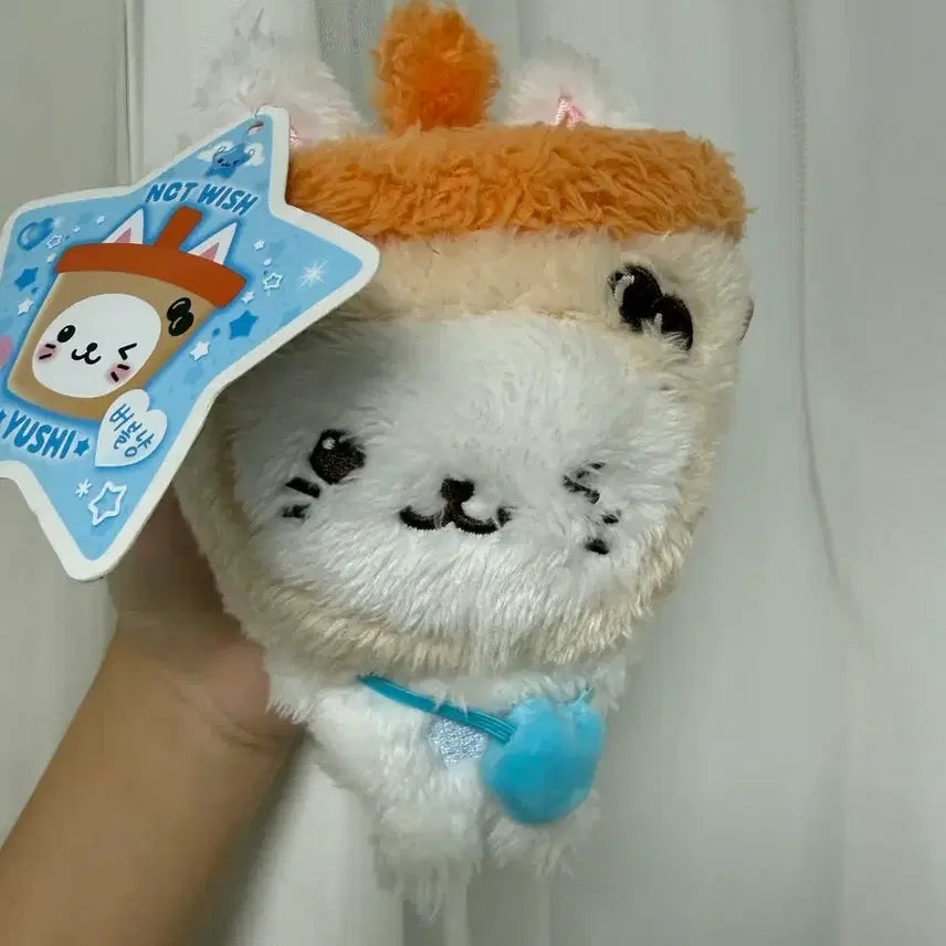 [BUNJANG] Wishdoll Bubble Cat Initial Edition / 초판 위시돌 버블냥