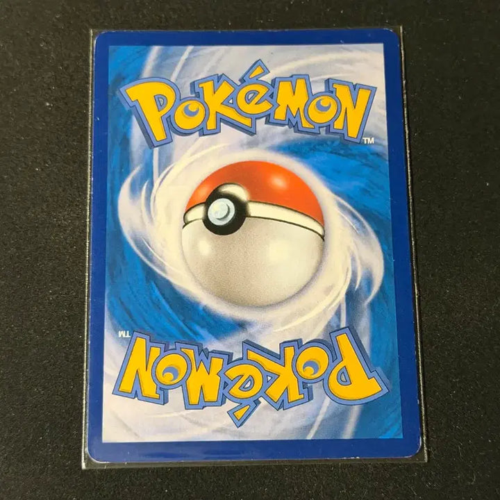 [BUNJANG] Pokemon Card Raikou V Special / 포켓몬카드 제라오라 V 스페셜