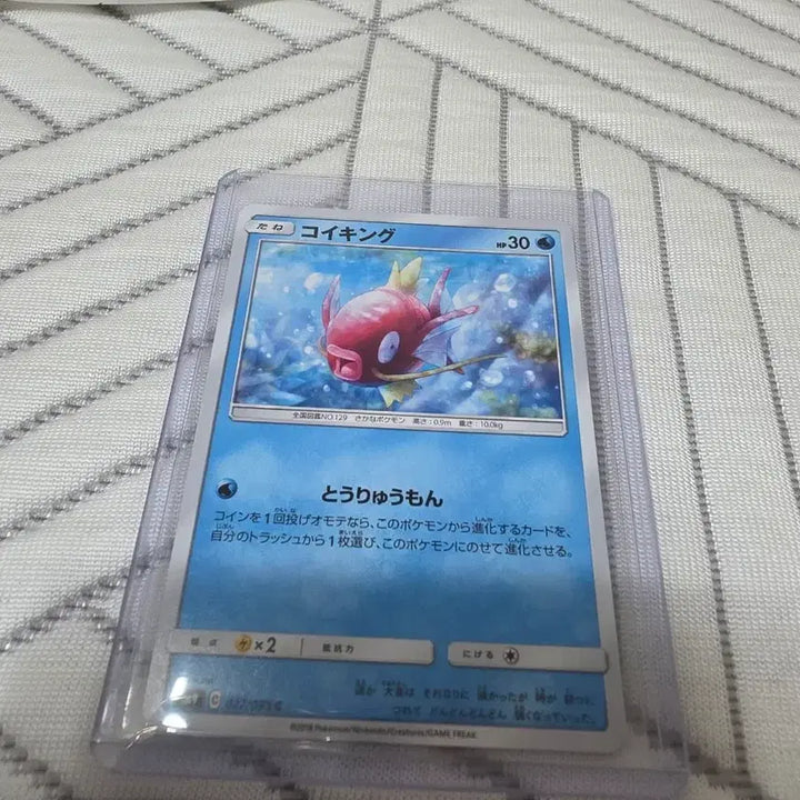 [BUNJANG] Tag Bolt Magikarp (Japan Edition) 027/095 / [ 태그볼트 ] 잉어킹 (일판) 027/095