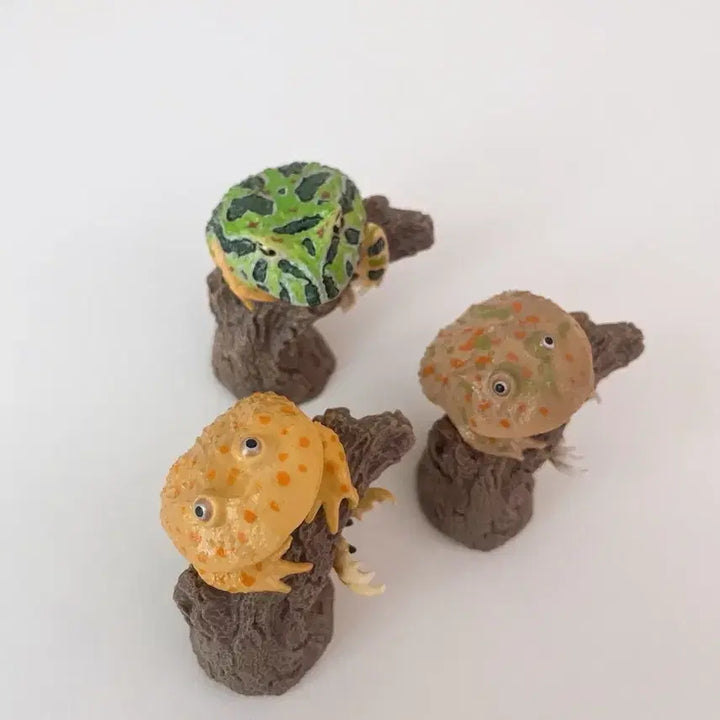 [BUNJANG] Bandai Finger Habitat Collection Frog 3 Types Bundle Set / [급처/일괄] 반다이 생물대도감 손가락 위 컬렉션 가챠 개구리 3종