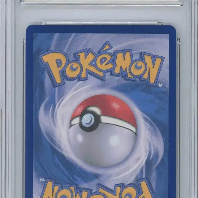 [BUNJANG] Team Rocket&