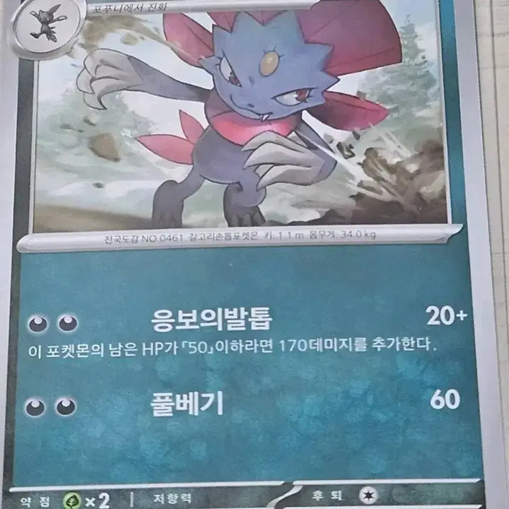 [BUNJANG] Pokemon Card Stufful &amp; Bewear / 포켓몬 카드 포푸니, 포푸니라 [10%할인]