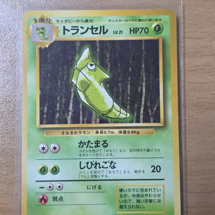 [BUNJANG] Pokemon Old Back Butterfree Evolution Set / (포켓몬) 올드백 버터풀 진화세트