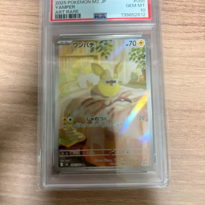 [BUNJANG] Pokemon Card Pawmot AR PSA 10 / 포켓몬 카드 멍파치 Ar Psa10