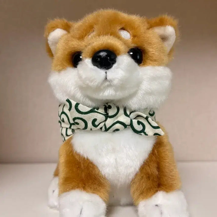 [BUNJANG] Shiba Inu Plush Doll with Scarf / 시바견 인형