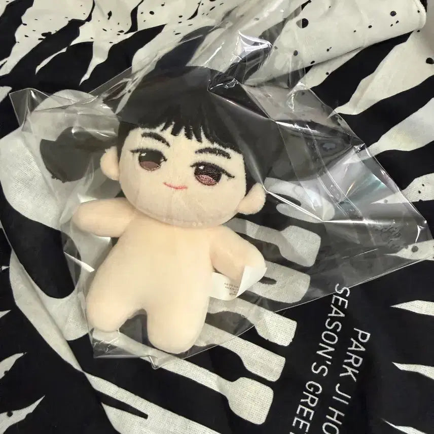 [BUNJANG] Choi Hyun Wook Park Ji Hoon "Weak Hero" Actor Doll (Sealed) / 밤톨수호 박지훈 최현욱 약한영웅 인형 새제품