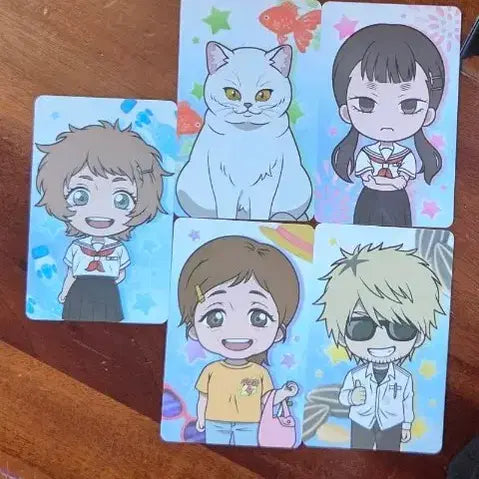 [BUNJANG] Hikaru Leather Summer Bundle Set Photocards / 히카루가죽은여름 포토카드 일괄
