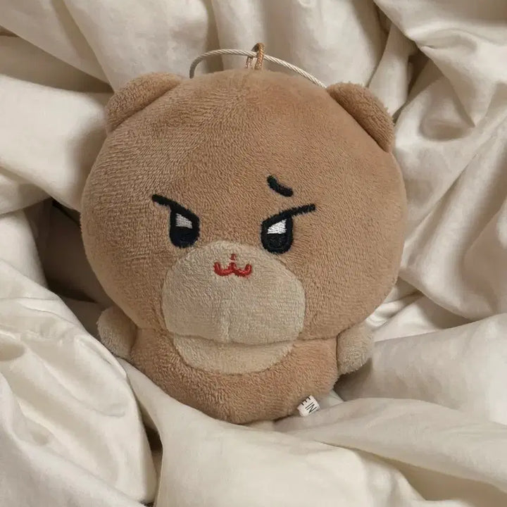 [BUNJANG] SEVENTEEN Dino Chanppi Plush Doll / 세븐틴 디노 인형 비공식 굿즈 찬삐