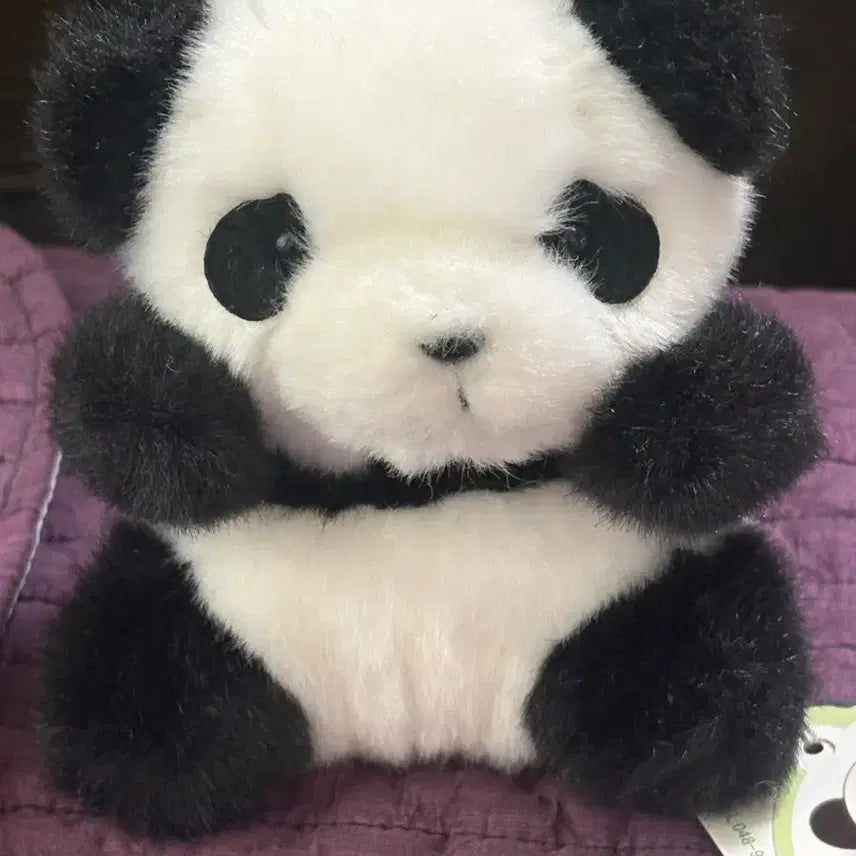 [BUNJANG] Aimyon Panda Plush / 아이묭 판다인형 손민수템!!