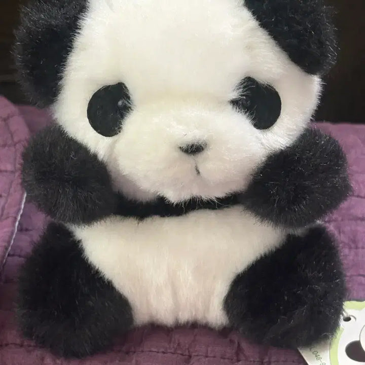 [BUNJANG] Aimyon Panda Plush / 아이묭 판다인형 손민수템!!
