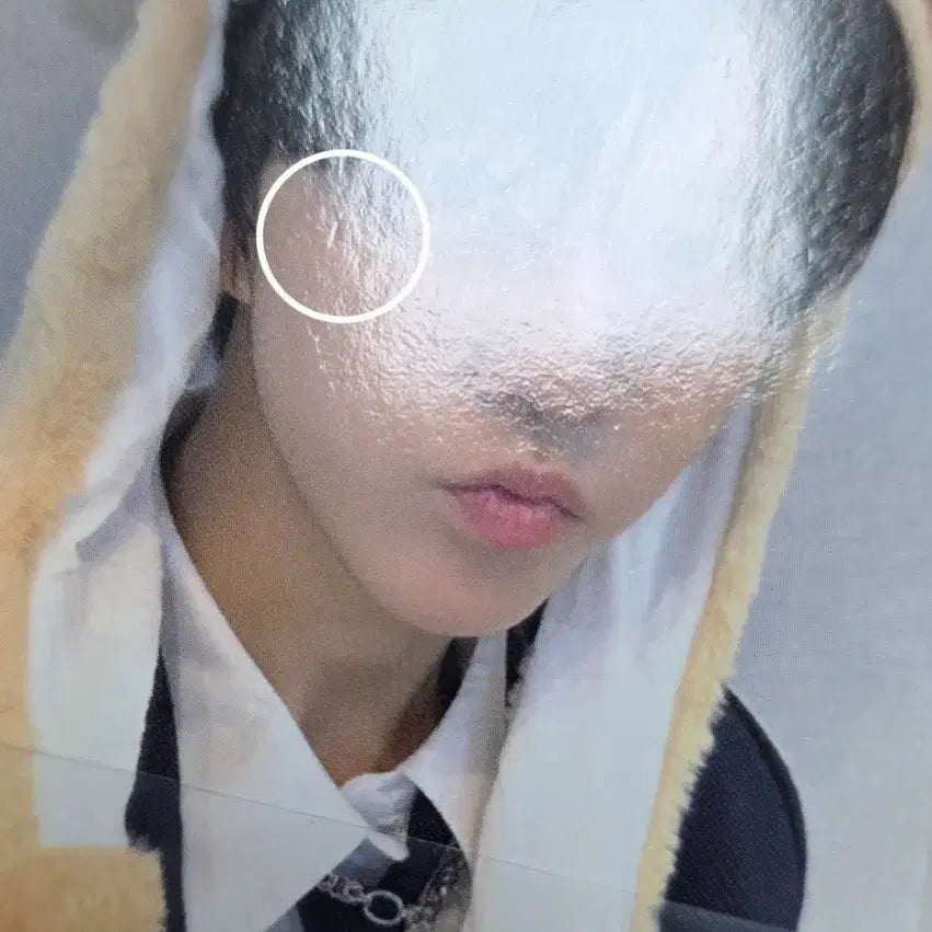 [BUNJANG] NCT WISH Steadily Jaehee Apple Music Photocard / 엔시티위시 스테디 애플뮤직 재희