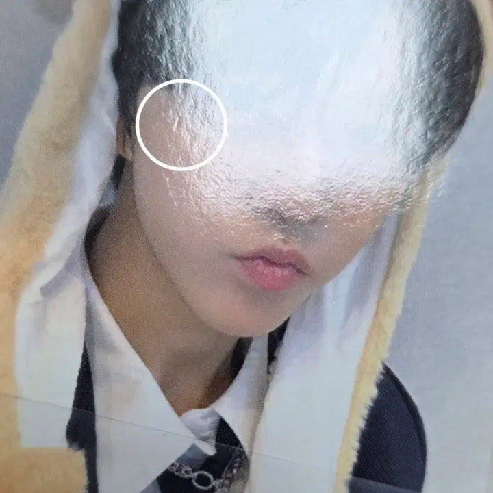 [BUNJANG] NCT WISH Steadily Jaehee Apple Music Photocard / 엔시티위시 스테디 애플뮤직 재희