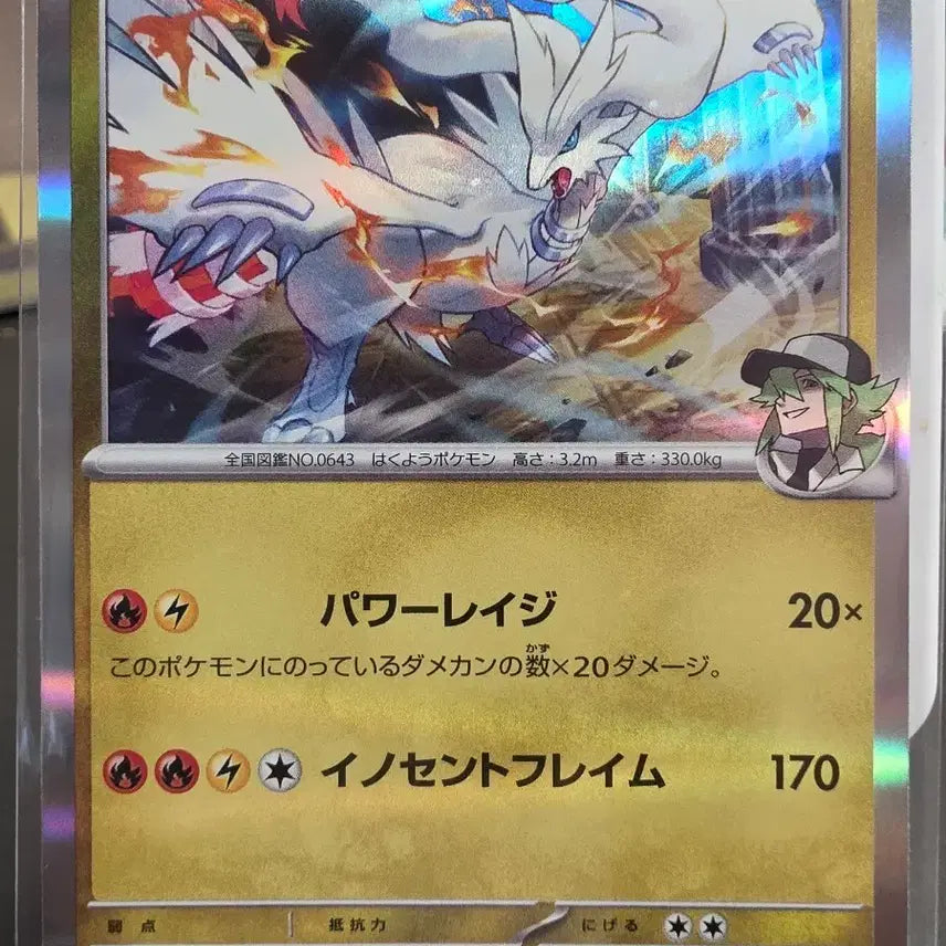 [BUNJANG] Pokemon Card N&