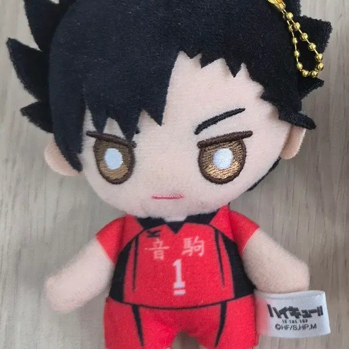 [BUNJANG] Haikyuu!! Tetsuro Kuroo Plush / 하이큐 쿠로오테츠로 누이