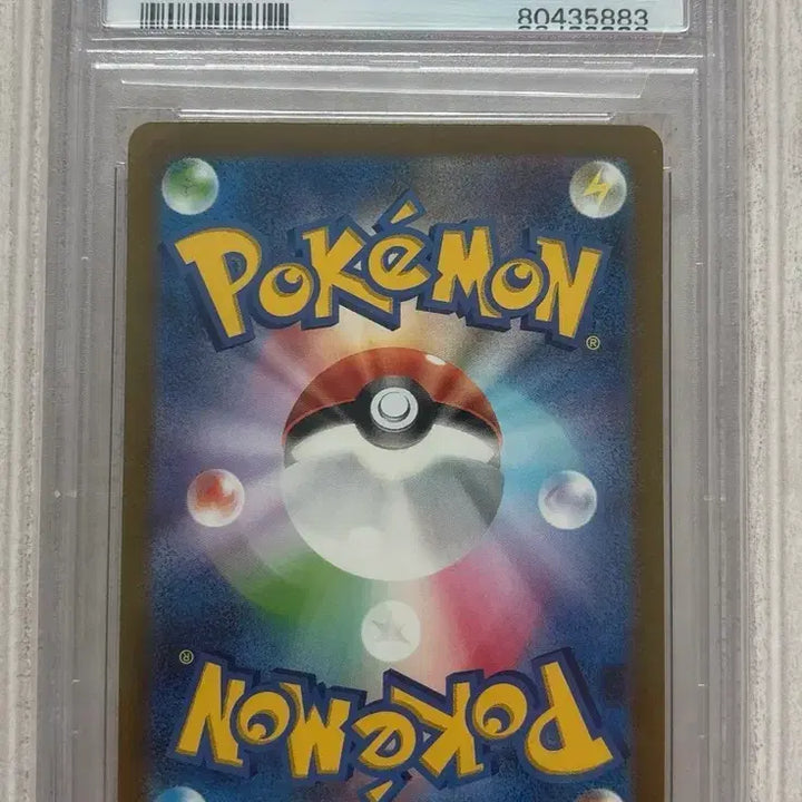 [BUNJANG] Pokemon Charizard ex PSA 10 (Japanese) / 포켓몬 리자몽ex PSA10(일어판)