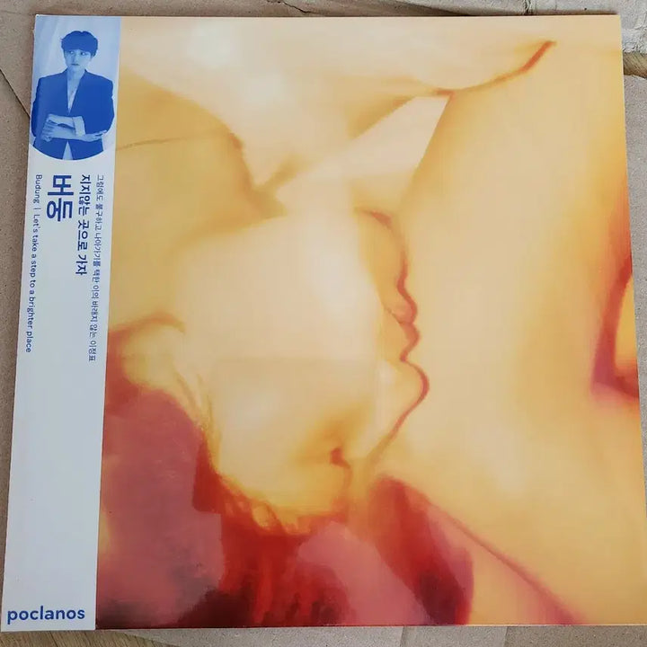 [BUNJANG] Budong Go To Where We Do Not Lose [3rd Anniversary Limited Edition Clear Mint Color LP] / 버둥 - 지지않는 곳으로 가자 [발매 3주년 기념 투명 민트 컬러 한정반 LP]