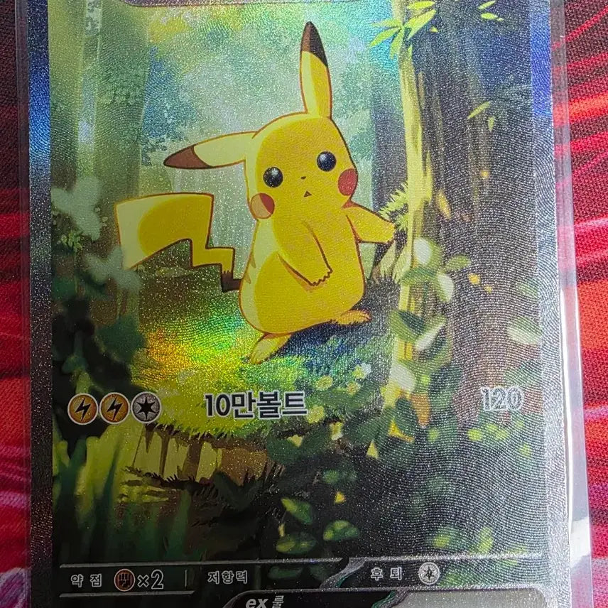 [BUNJANG] Pikachu 100-Card Deck / 100덱 피카츄