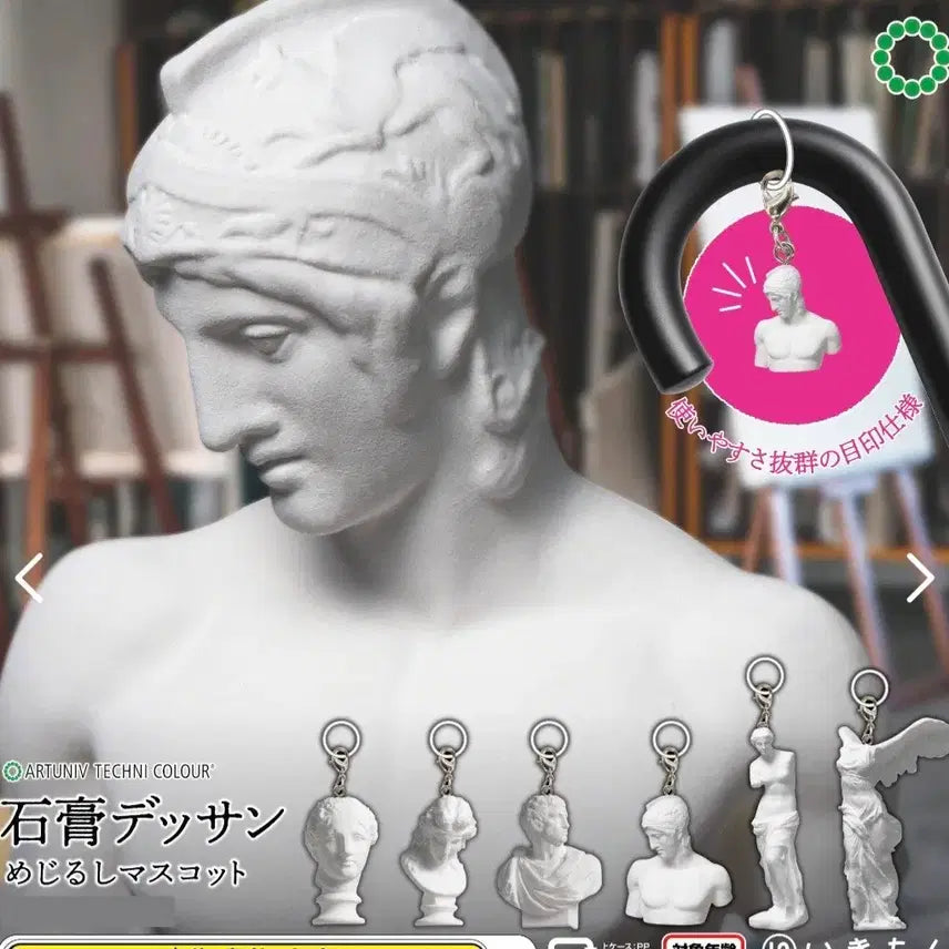 [BUNJANG] Plaster Bust Set 6 Types / 석고상 메지루시 6종 세트