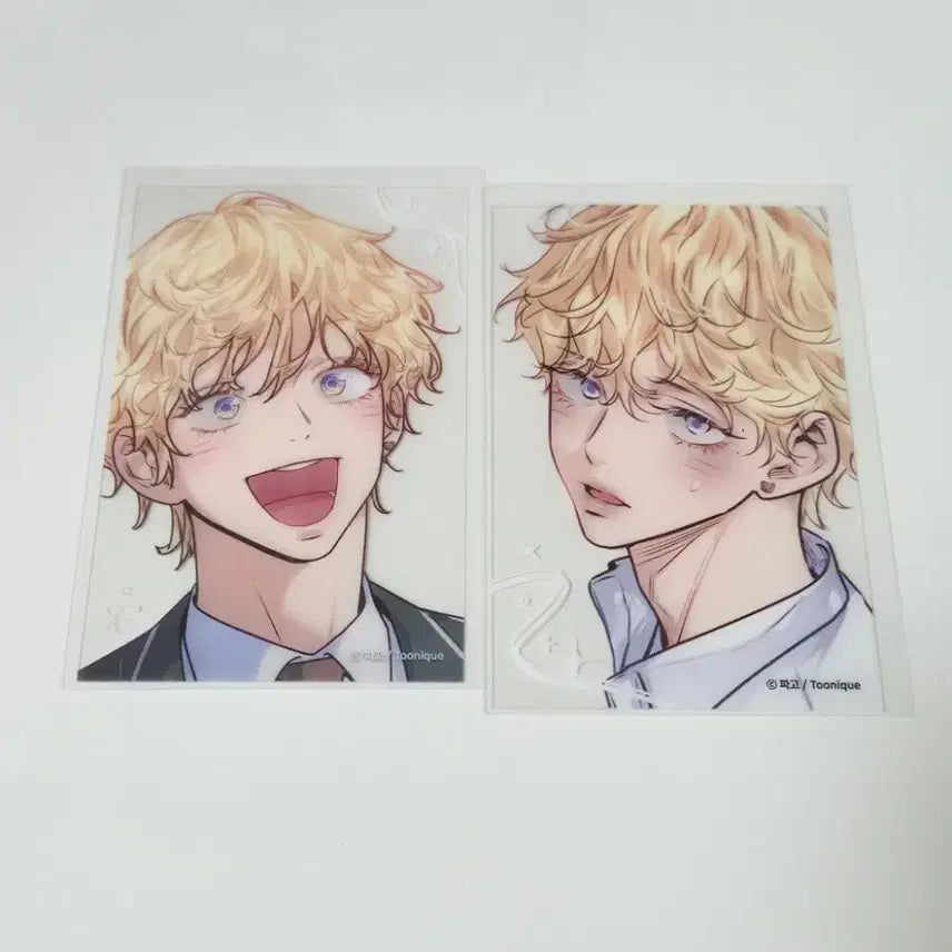 [BUNJANG] Tw:nic Love is Illusion Lucky Draw Photocard Bundle Set / 투니크 사랑은환상 럭드 포카 일괄 양도 사환스 파고 레봄