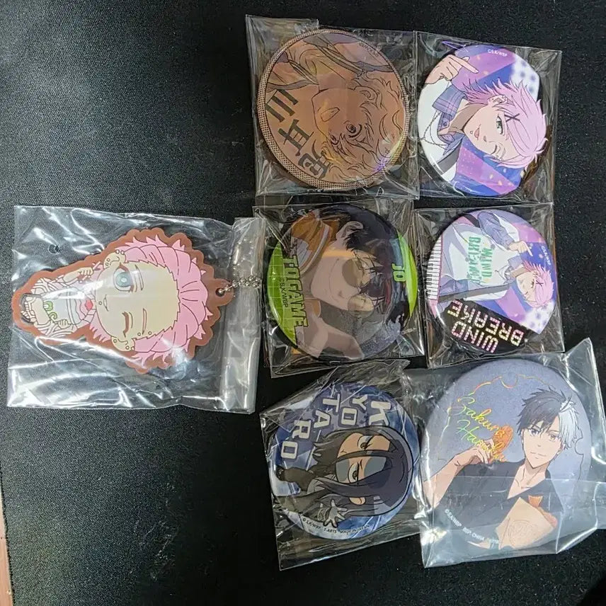[BUNJANG] Wind Breaker Goods Badge &amp; Keyring Set / 윈드브레이커 굿즈 뱃지 키링 세트