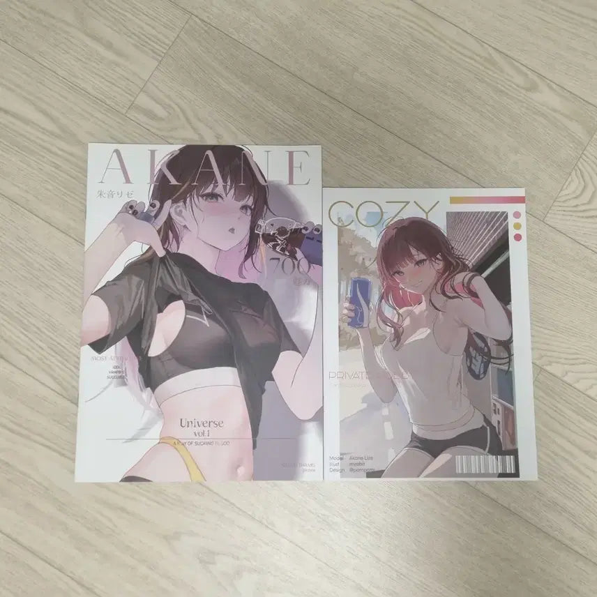 [BUNJANG] Stellive Illustration Book Bundle Set / 스텔라이브 일러스트북 비공굿 판매