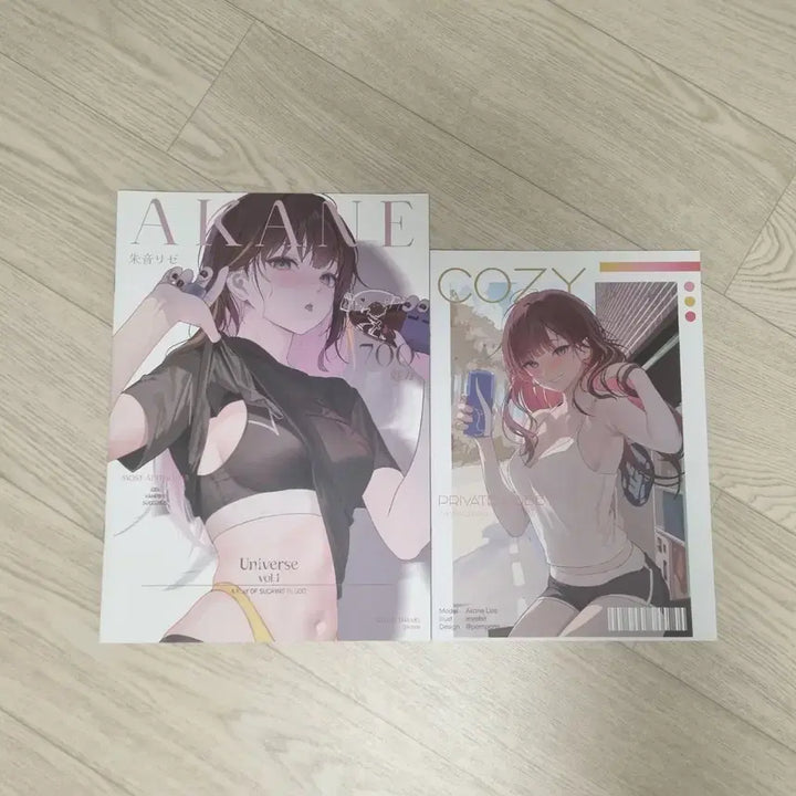 [BUNJANG] Stellive Illustration Book Bundle Set / 스텔라이브 일러스트북 비공굿 판매