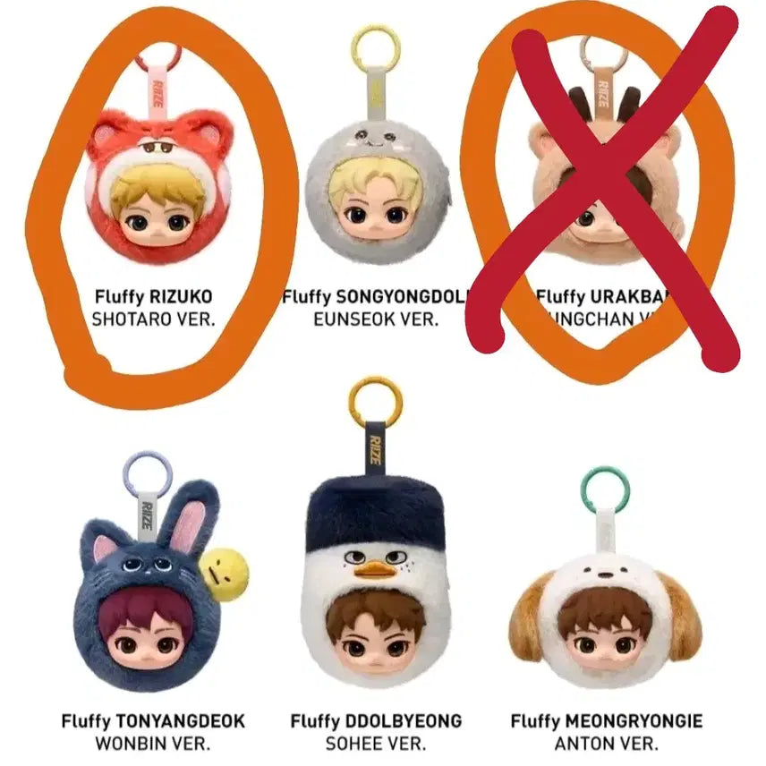 [BUNJANG] RIIZE POPMART Fluffy Mini Pouch Keyring / 라이즈 팝마트 플러피 미니 파우치 키링 원가 이하 양도