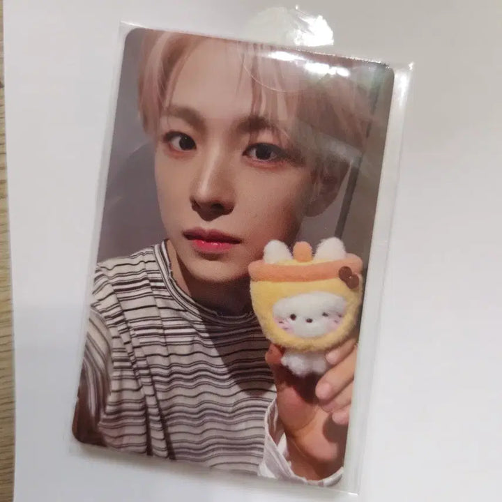 [BUNJANG] Wishnini Yushi Bubble Cat Large Hug Cushion w/ Photocard / 위시니니 유우시 버블냥 대형 허그 쿠션 포카 포함